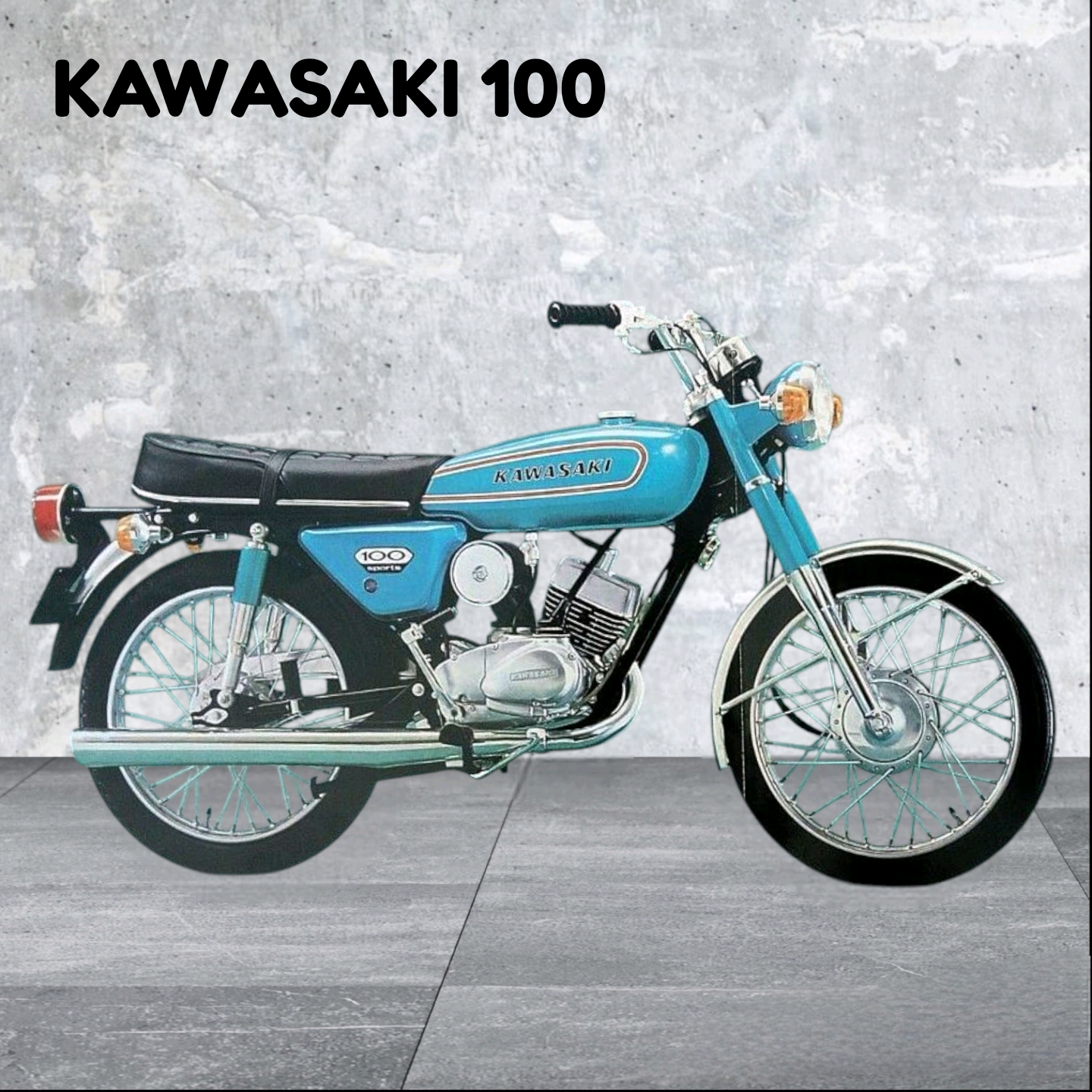 لوازم کاوازاکی ۱۰۰